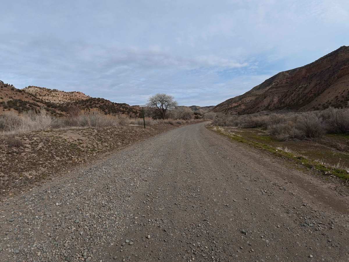 CR 205 photo 2