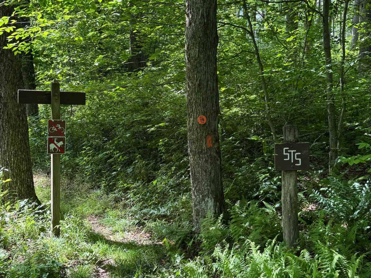 Sunken Branch Road photo 4