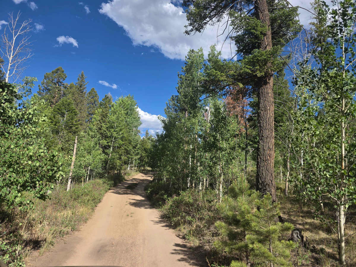 Springer Gulch Road - FS 246 trail photo