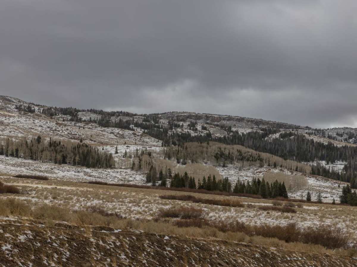 Little Lost Creek photo 2