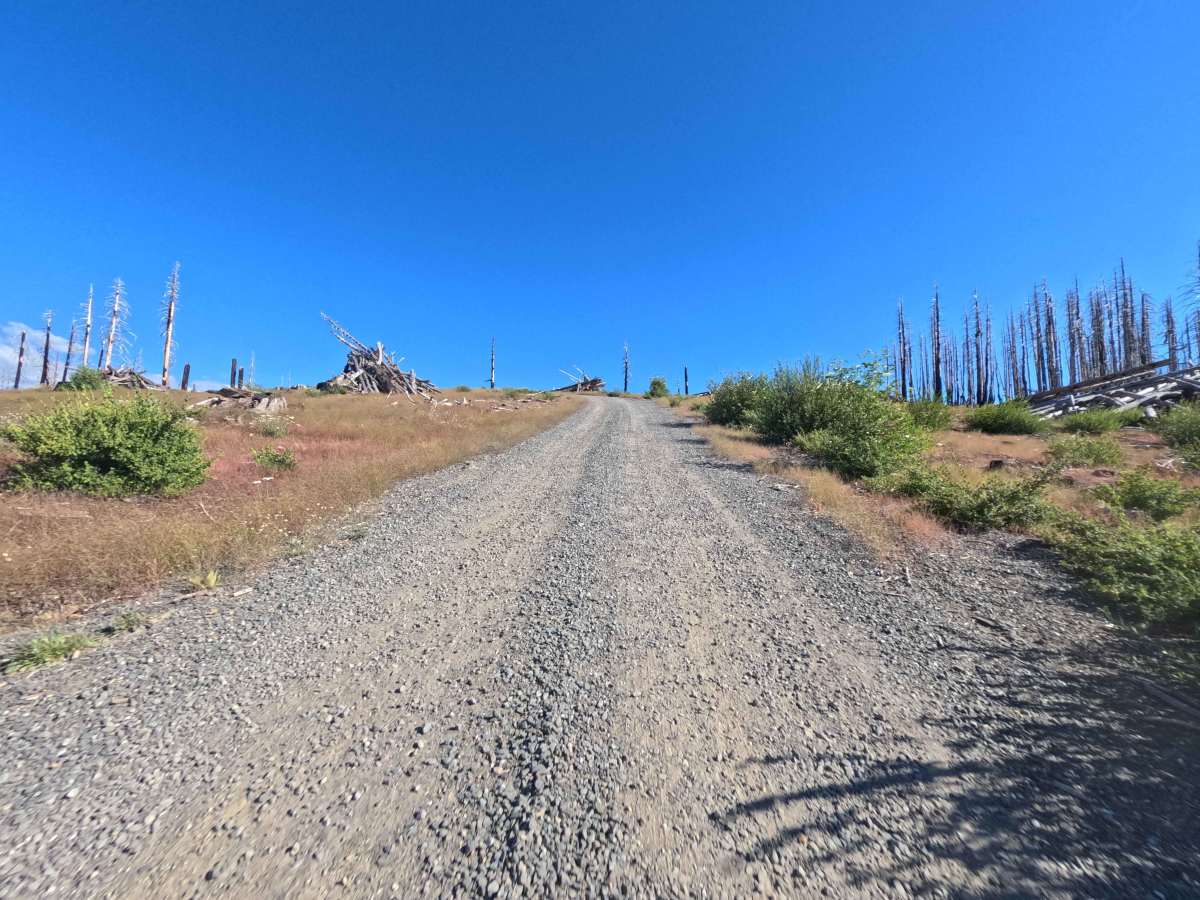 Boundary Road - FS 22N26 photo 4