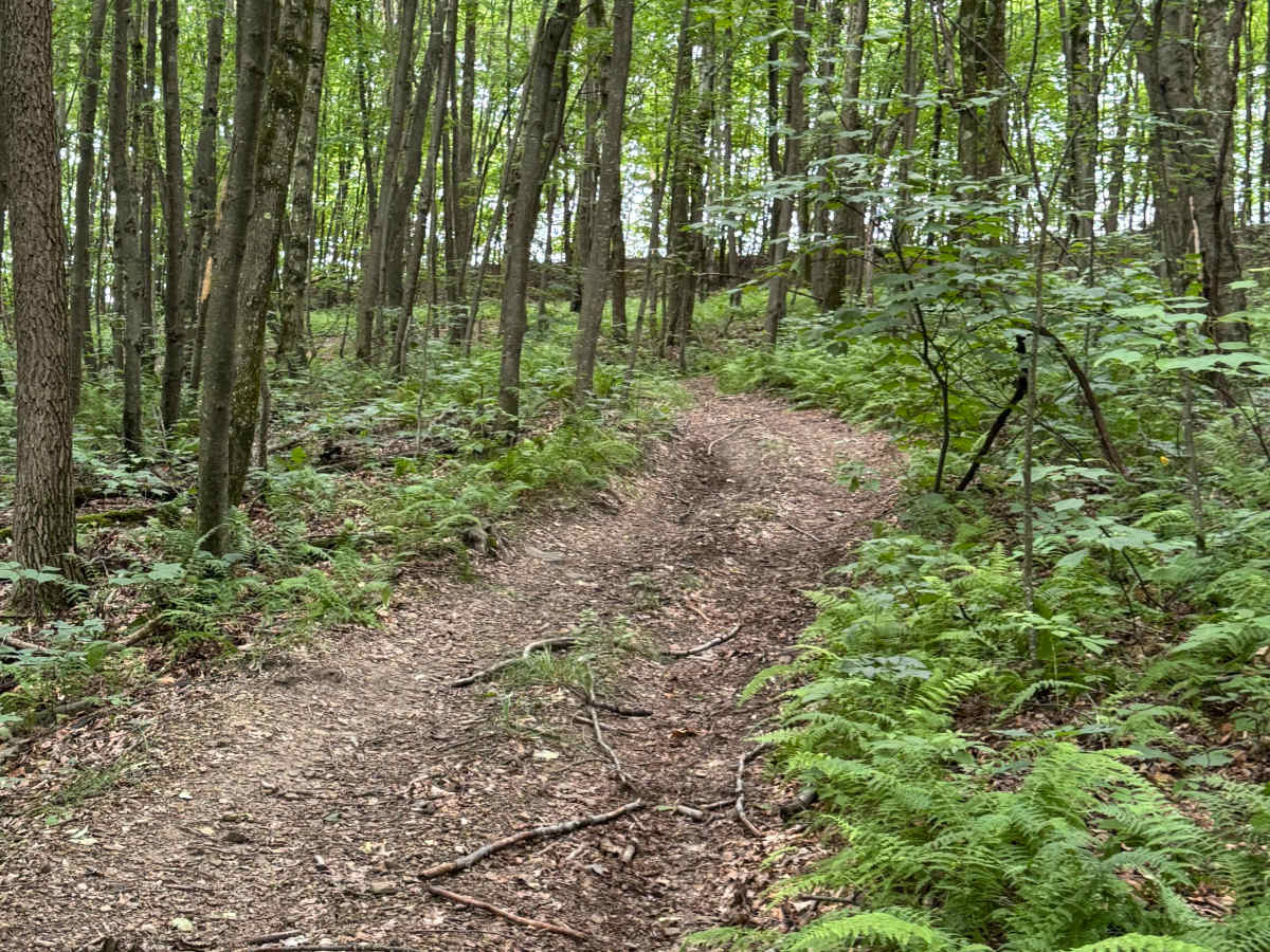 Trail 31 photo 3