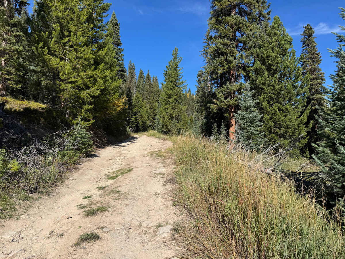 Smith Creek Road photo 5