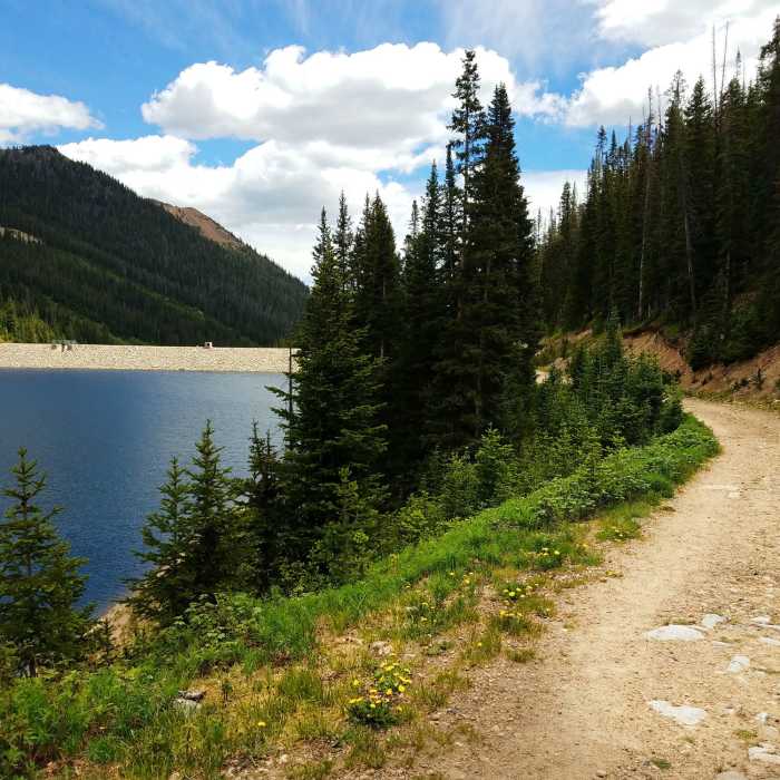 Near Hassell Lake Trail