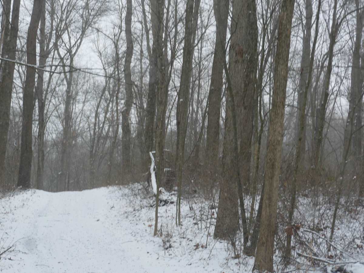 Trail 16 photo 4