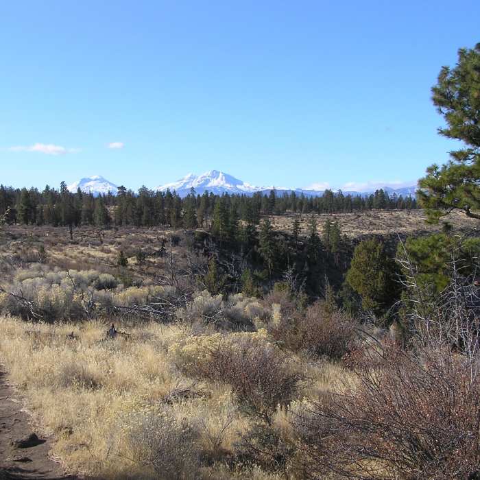 Near Whychus Canyon Loop