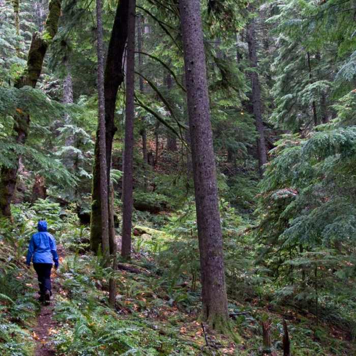 Near Deception Butte Hike