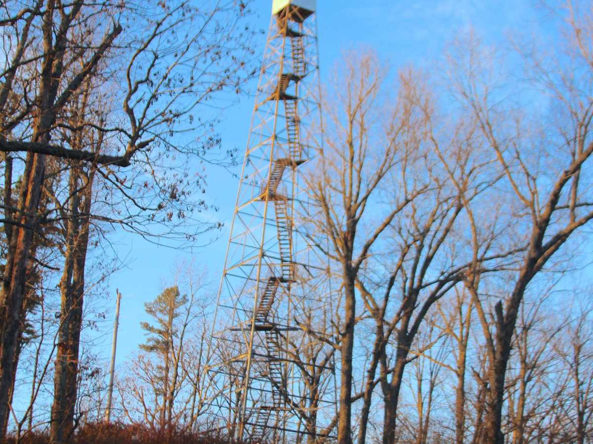 Blue Buck Tower - FS 121 trail photo