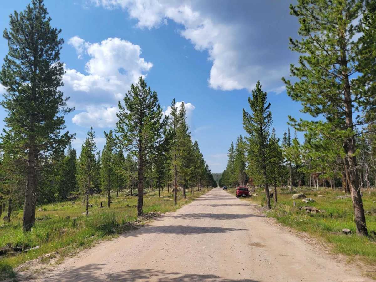 Washington Lake Trail photo 2