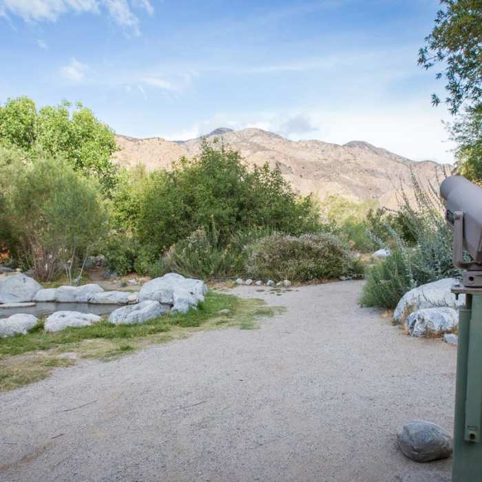 Near Canyon View Loop