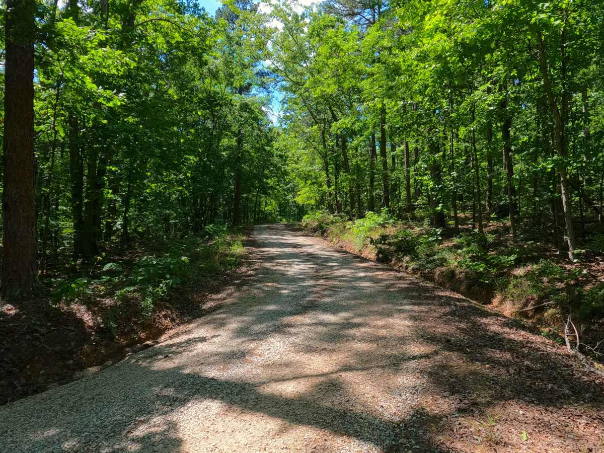 Malady Hollow - FS 3776 photo 5