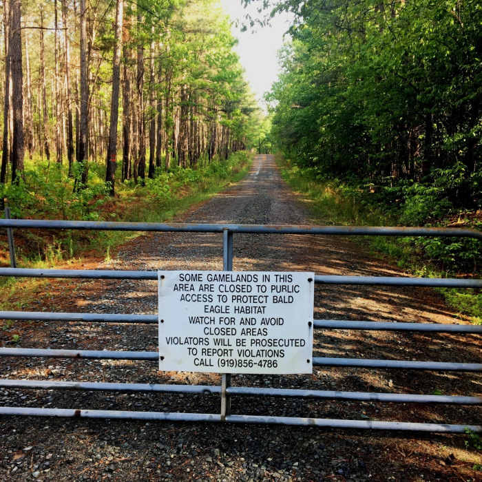 Near Transis Camp Road