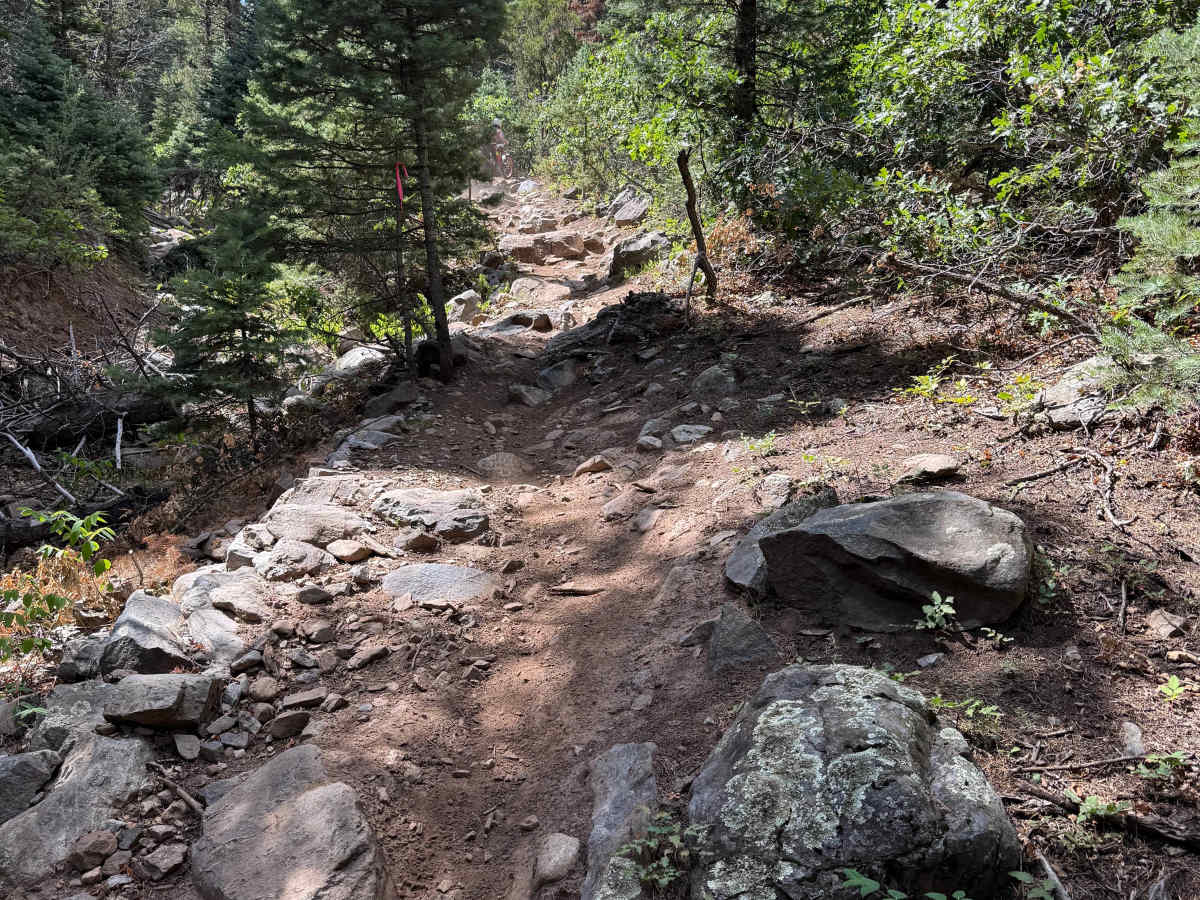 Rainbow Trail photo 4