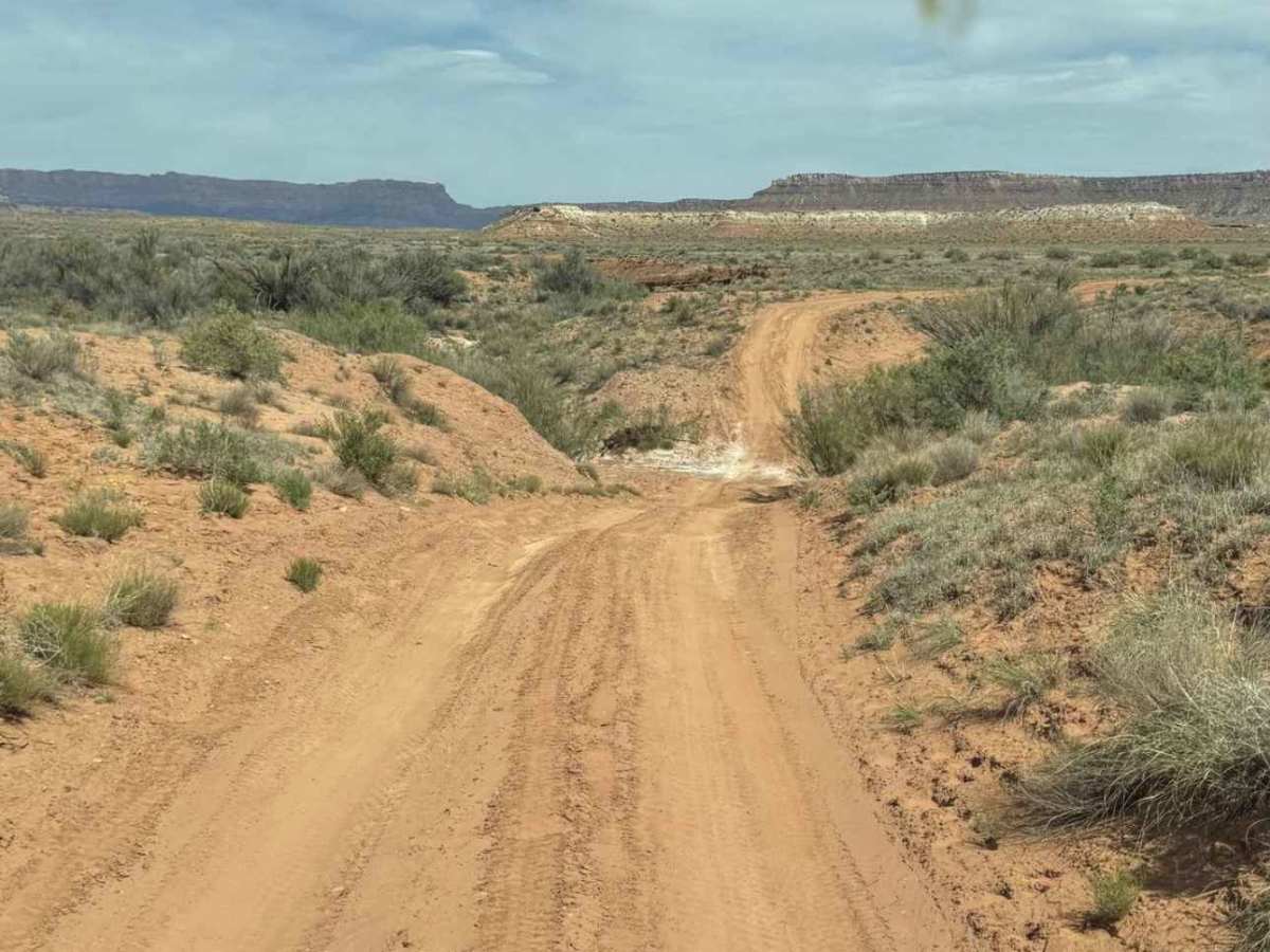 Little Creek  photo 5