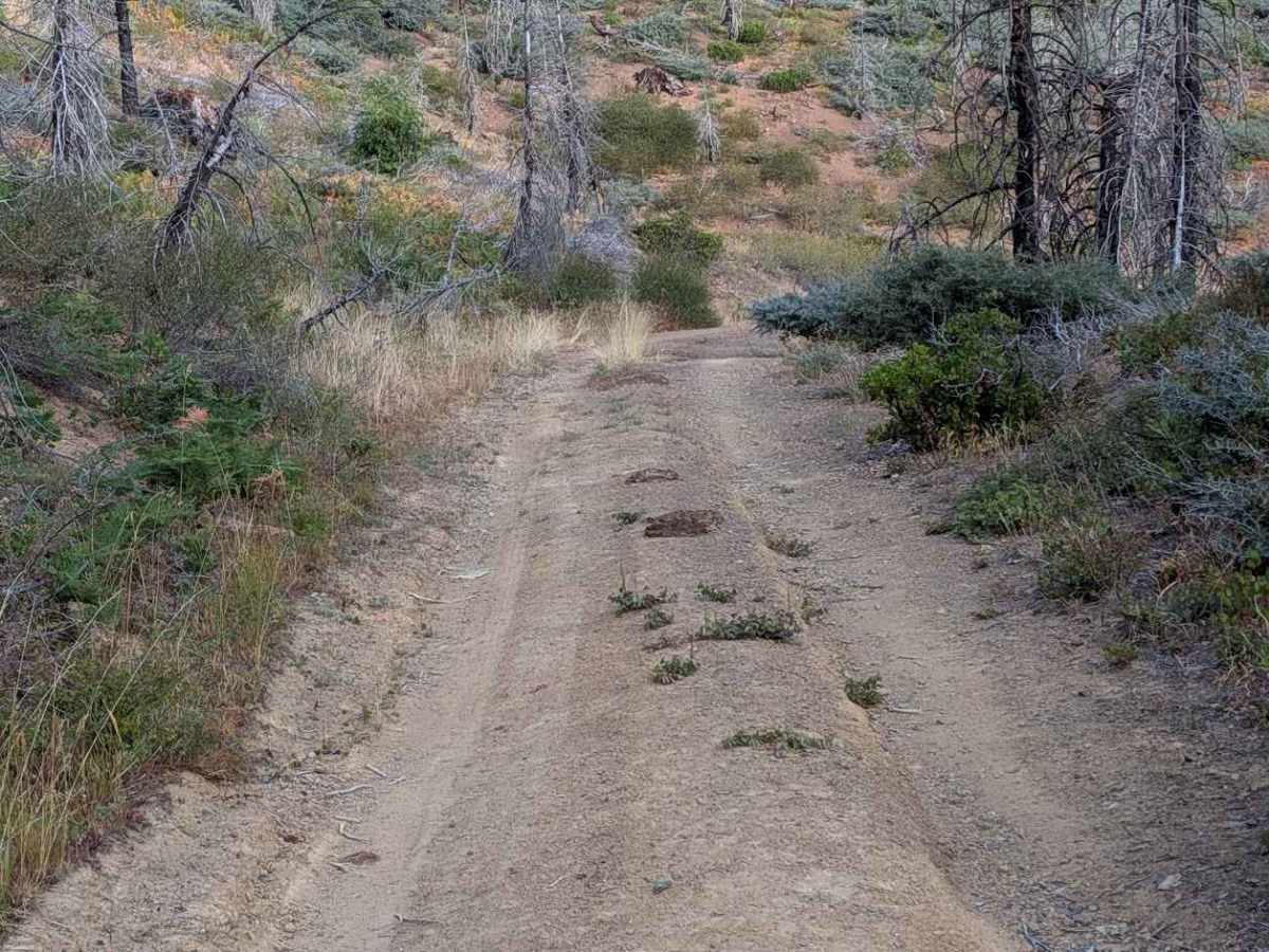 Dubakella Mountain Road - FS 30N27 photo 4