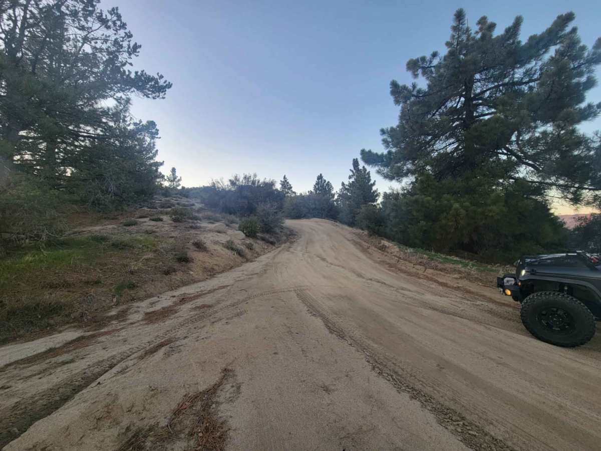 6S13 - Thomas Mountain Road photo 6