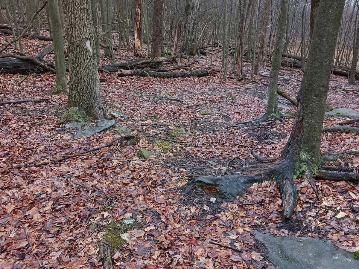 OHV 46 - Rock Run Recreation Area photo 4
