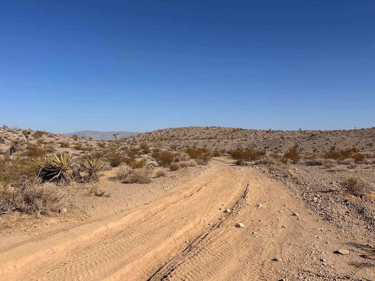 Open Range Trail photo 5