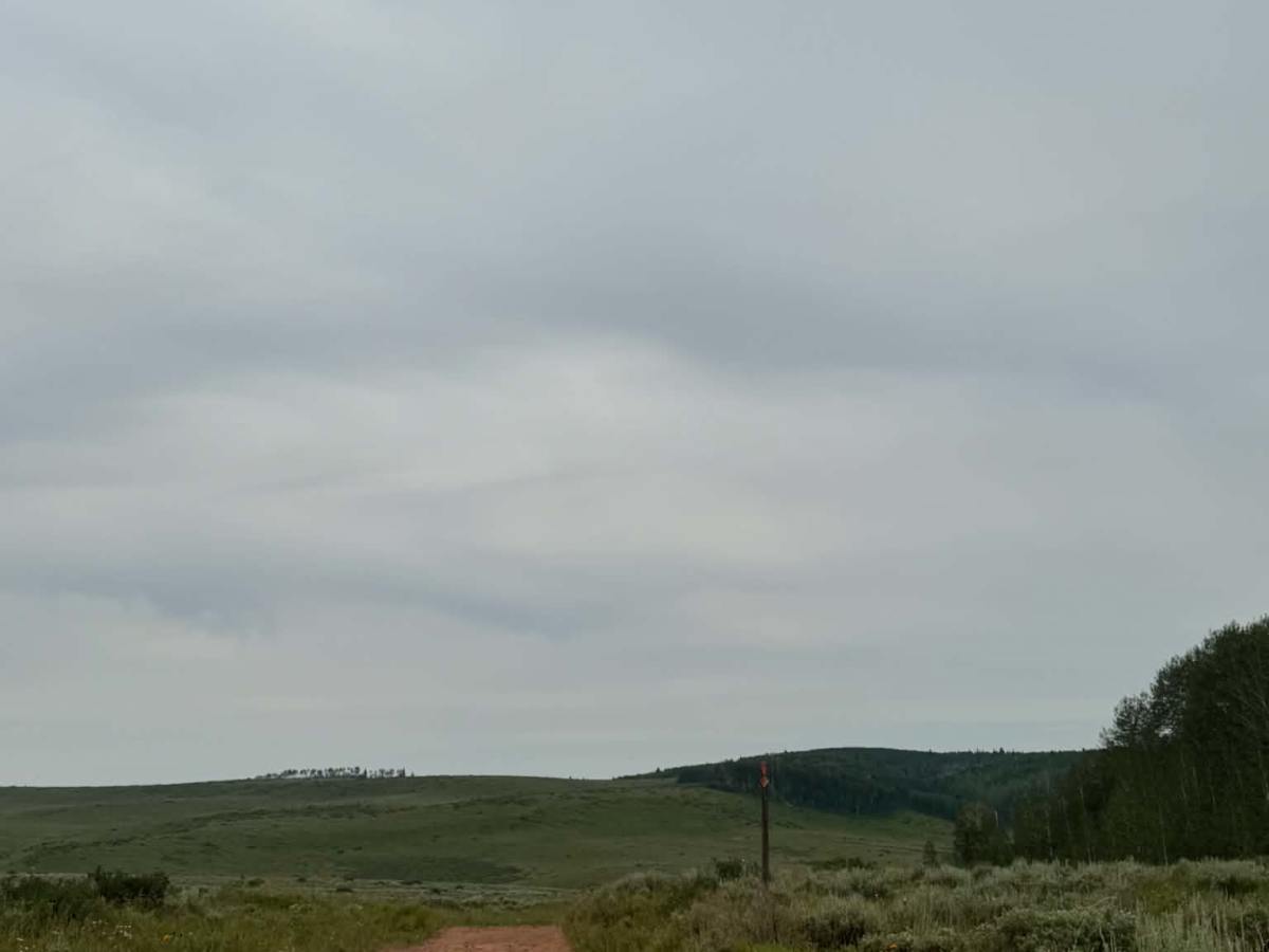 FS 211 photo 2