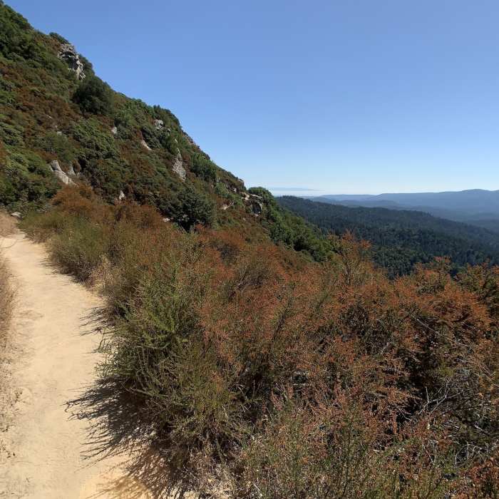 Sunny and surprisingly windless afternoon on a dusty, one-lane trail. Looking south-southeast. Near Saratoga Gap Trail