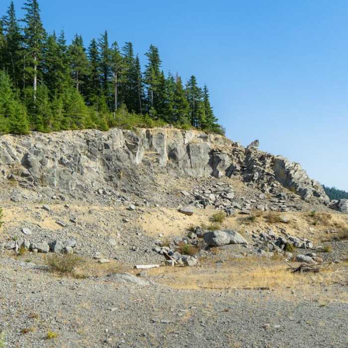 Near Wildcat Mountain via Douglas Trail