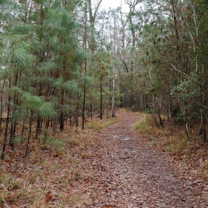 Near Riverwalk Trail