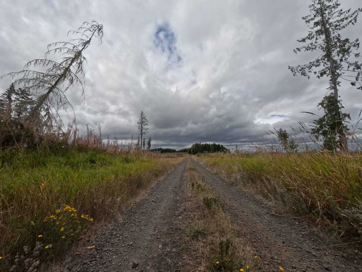 W-2600 trail photo