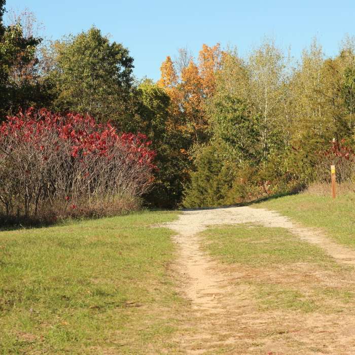Bolt entrance doubletrack." Photo courtesy of Cascade Charter Township. Near Peace Park Loop