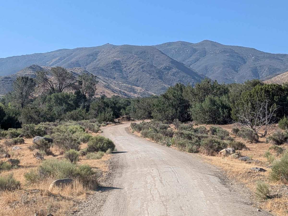 Juniper Flat photo 2