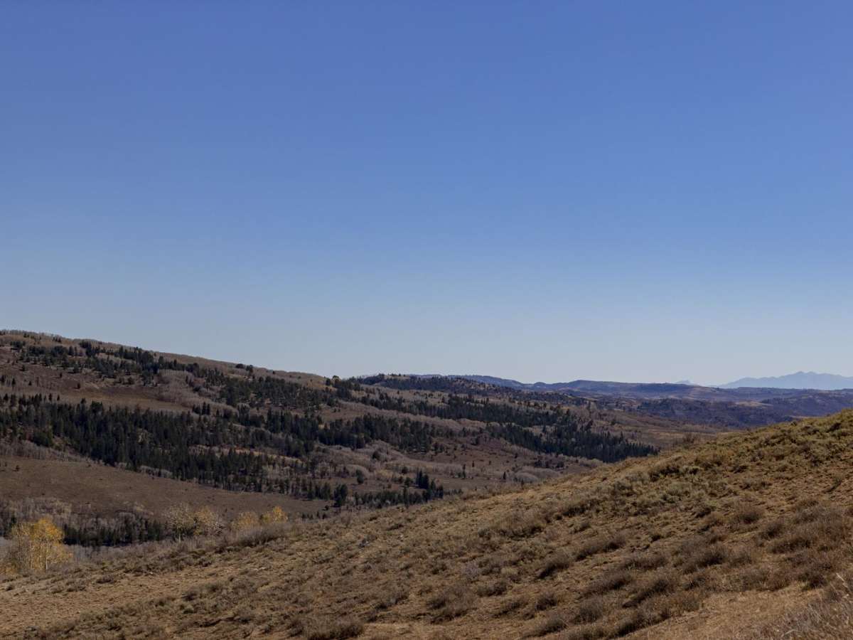 Salina Creek photo 6