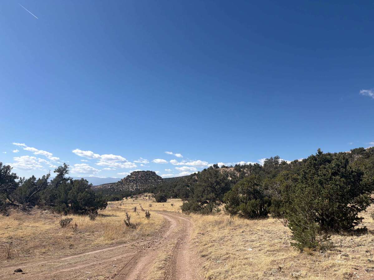 BLM 5935E photo 5