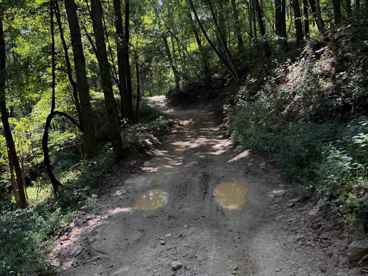 Pond Trail 29  photo 4