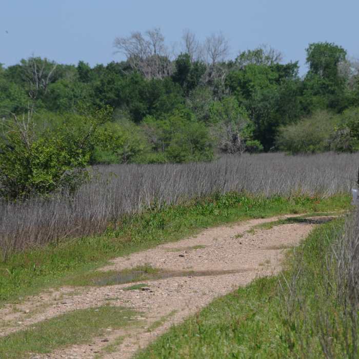 A hiker heads into the trail system to find a spot to fish Near Lake Somerville Flag Pond and Trailway Loop