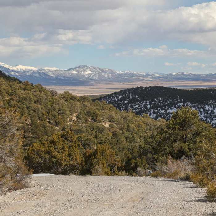 Near Saxton Peak - South Trail