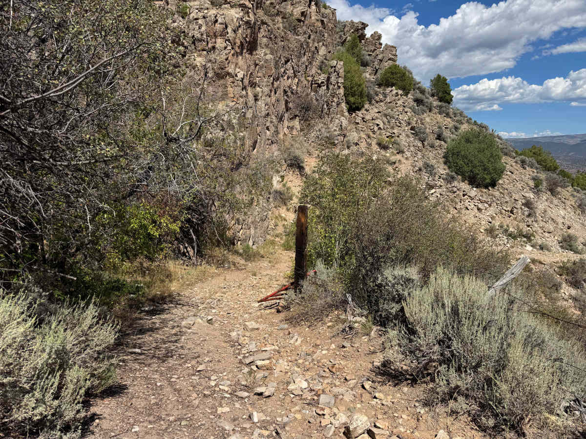 BLM 8535 photo 4