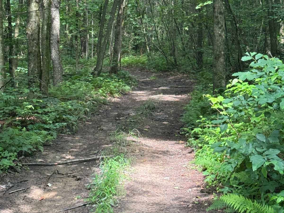 Trail 70 photo 6