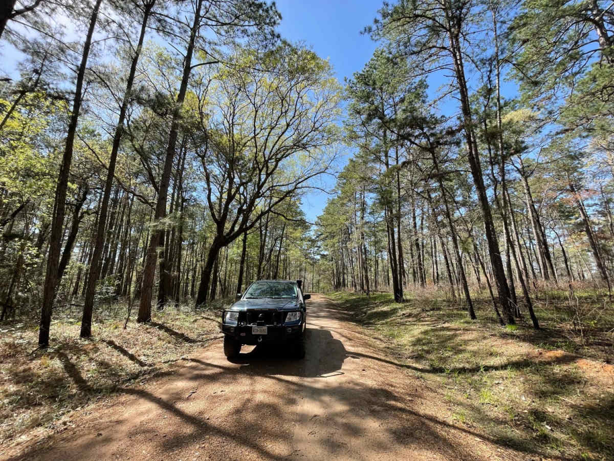 Big Woods photo 4