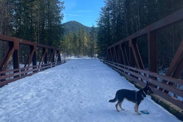 Muddy Fork Road