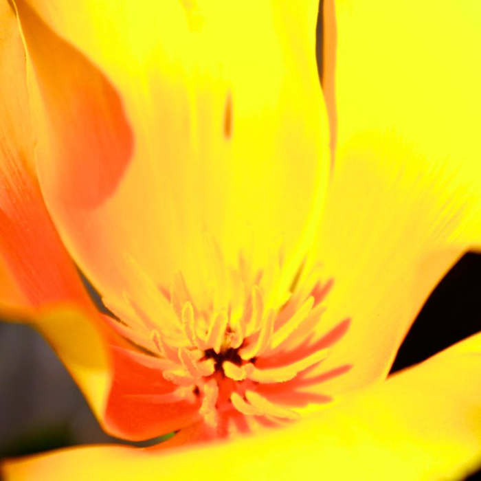 Near The Lost Coast Trail