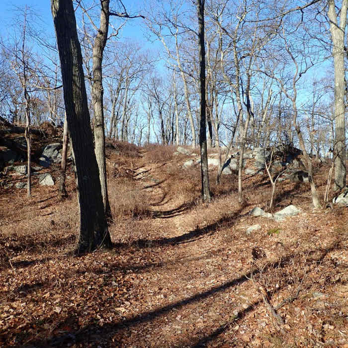 Near Diamond Mountain via Seven Hills Trail