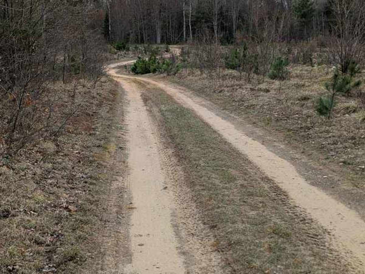 Hawk Trail photo 3