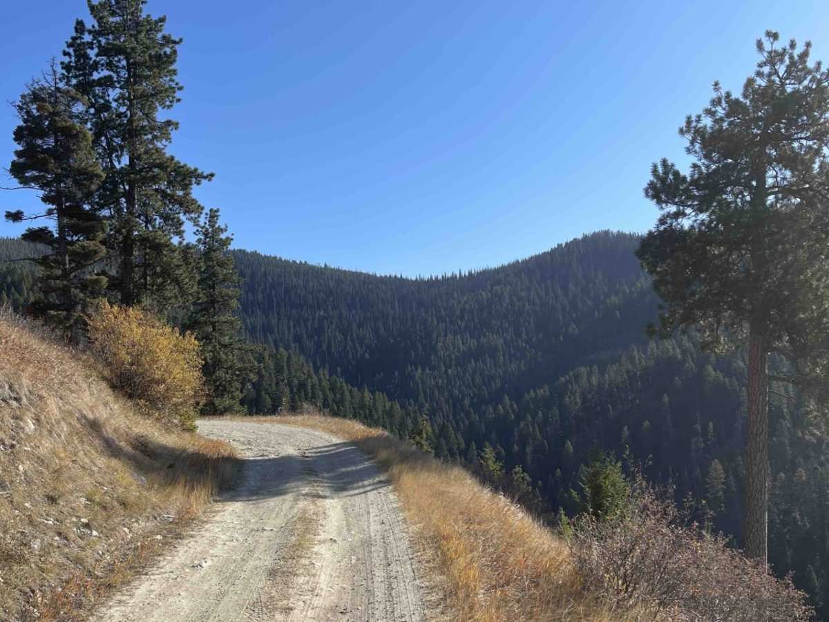 Upper Willow Saint Clair trail photo