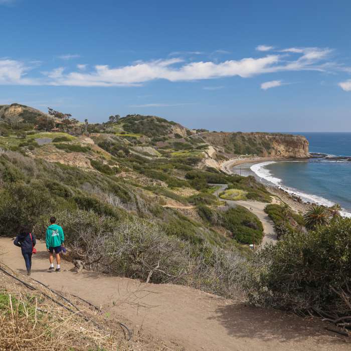 Near Abalone Cove: East Beach Hike