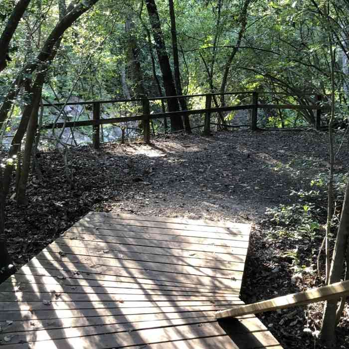 Near Creekside Trail