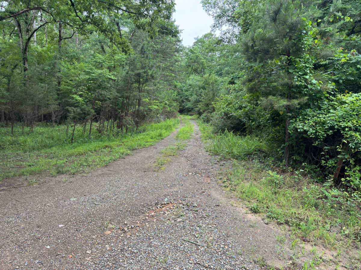 Proctor Mountain trail photo