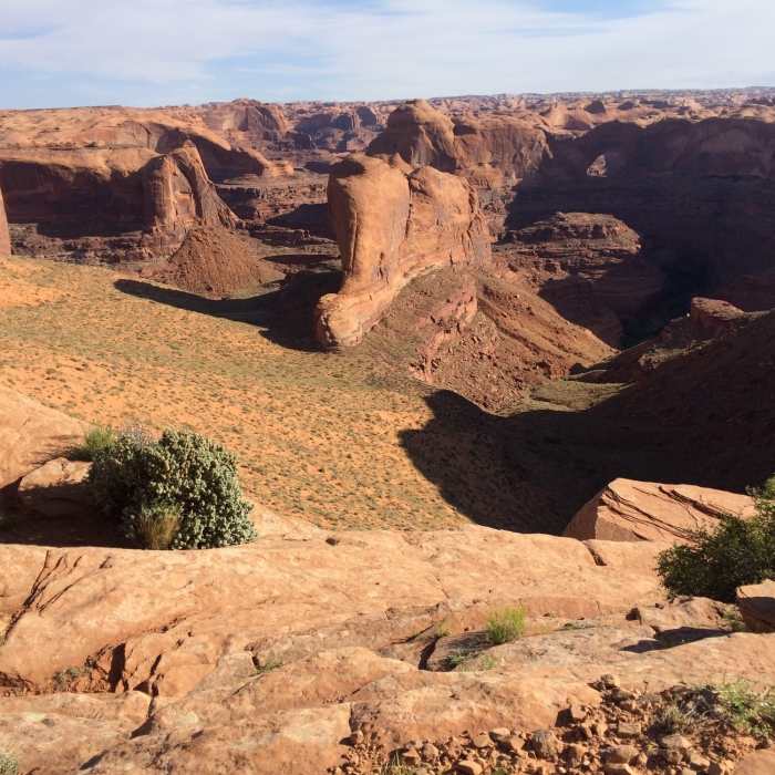Near Coyote Gulch Loop