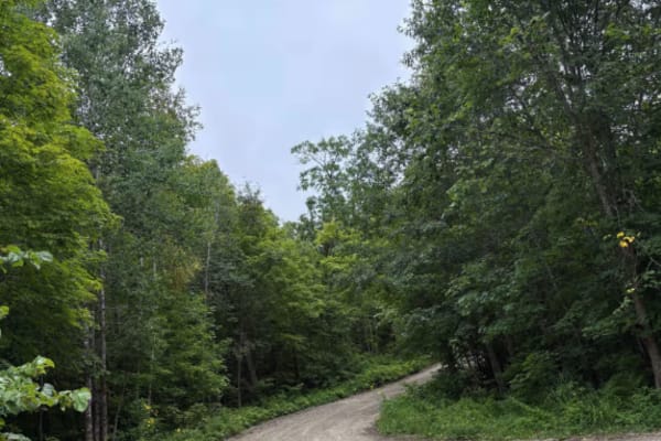 Waptus-Mckenzie Lake Road