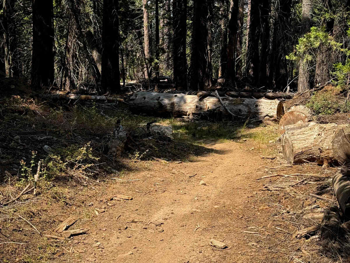 23E284 photo 4