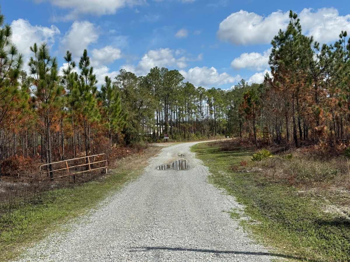 Post Road trail photo