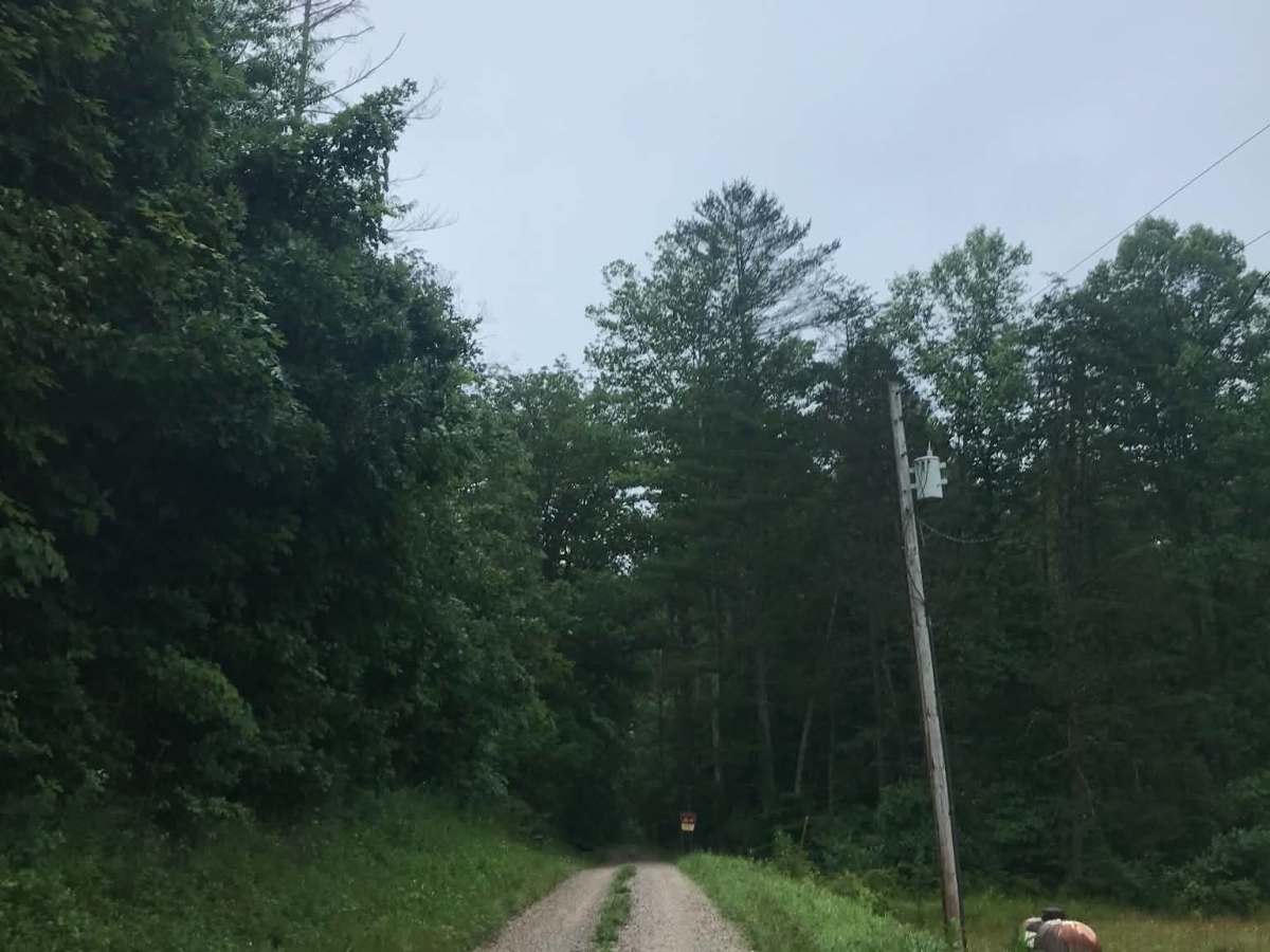 Wolf Road photo 3